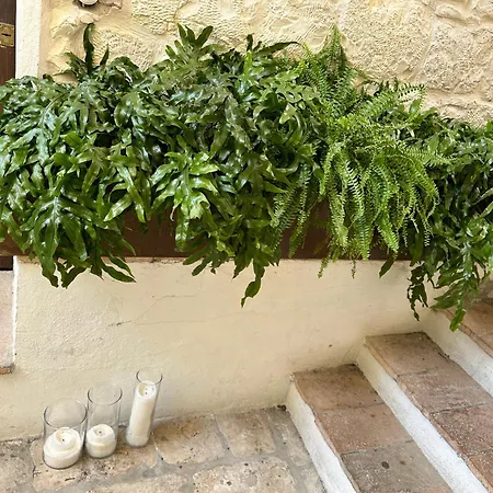 La Voce Del Mare * Numana