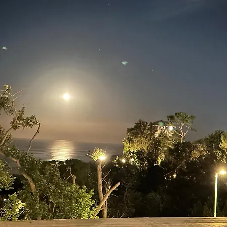 La Voce Del Mare * Numana