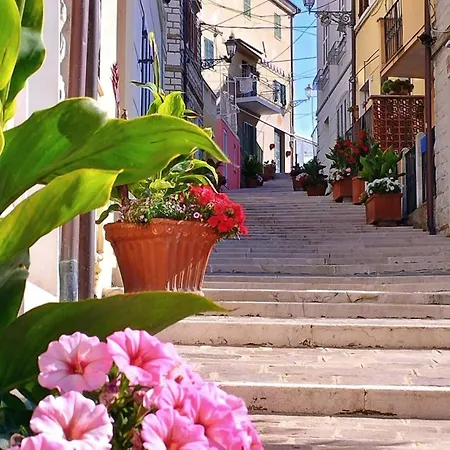 La Voce Del Mare Numana