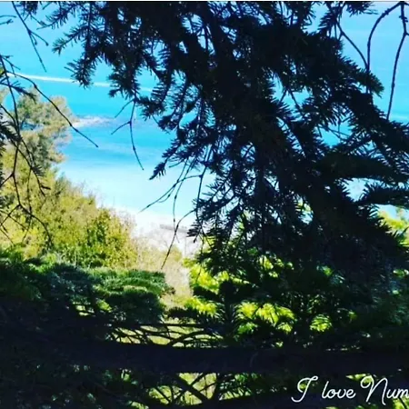 La Voce Del Mare Numana