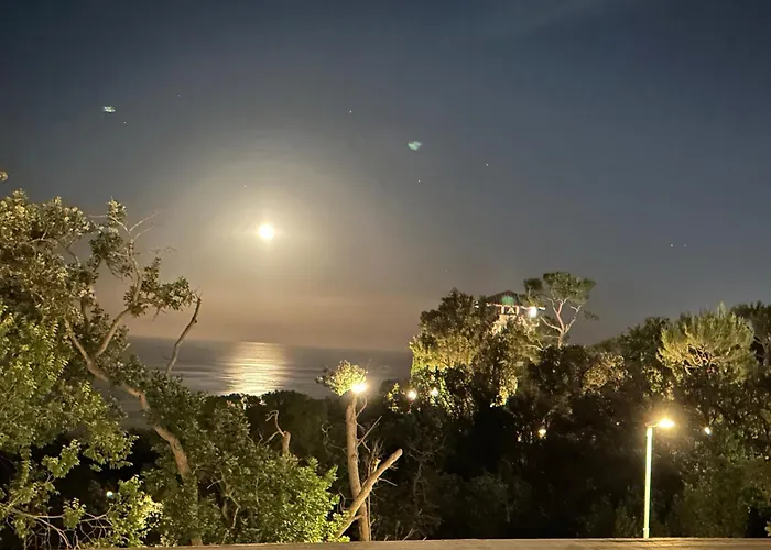 La Voce Del Mare * Numana